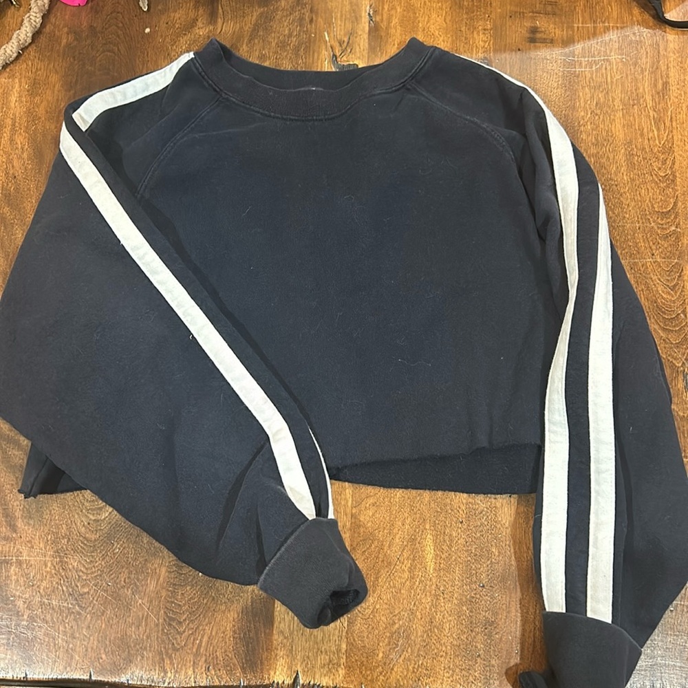 Pacsun Cropped Sweatshirt